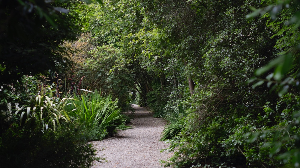 The Seaforde Gardens maze