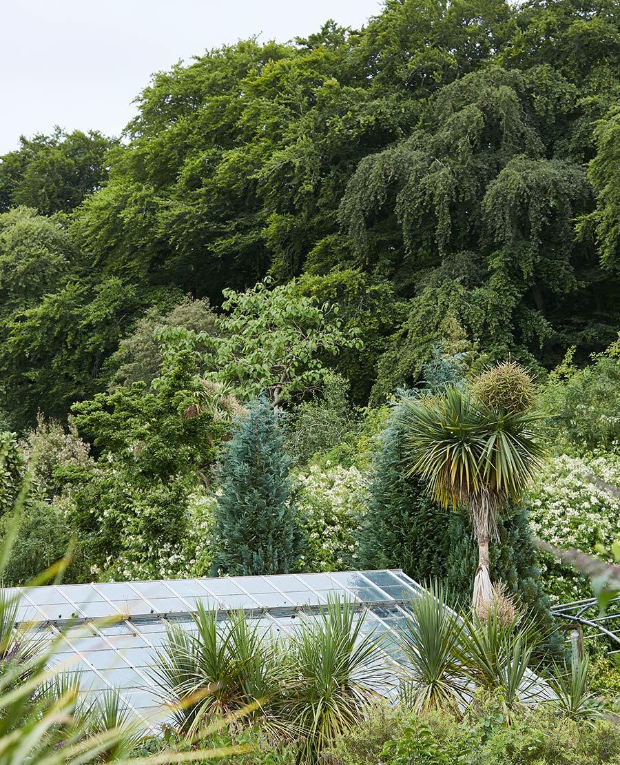 Seaforde Gardens Northern Ireland