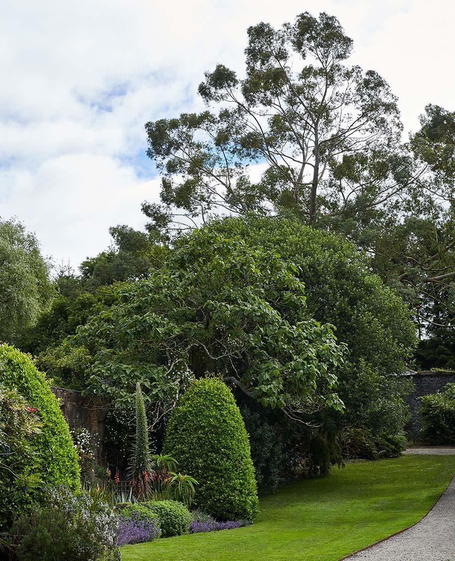 Seaforde Gardens Northern Ireland