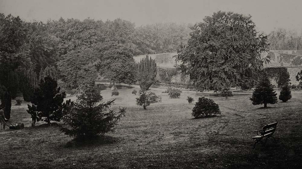 Seaforde Estate Northern Ireland History A photograph of the Pheasantry taken in about 1860