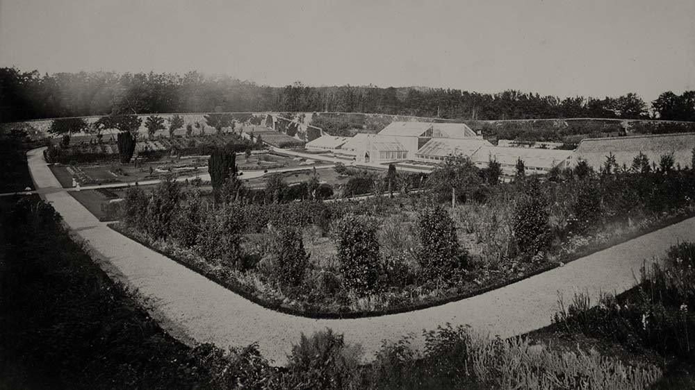Seaforde Estate Northern Ireland History
