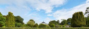 Seaforde Gardens Northern Ireland Maze