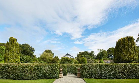 The Maze Garden is open during the Winter Season on the days and hours that the café is open.