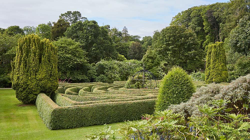 Seaforde Gardens Northern Ireland Maze