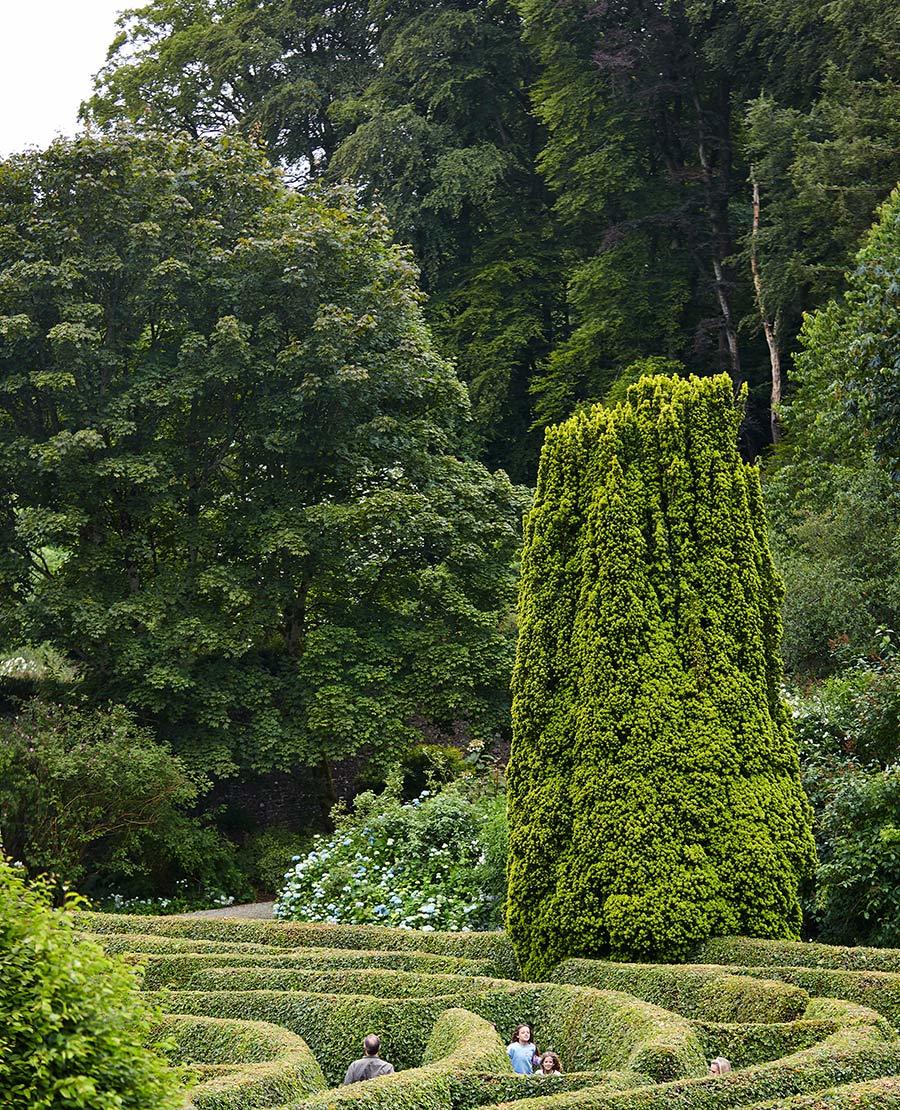 Seaforde Gardens Northern Ireland Maze