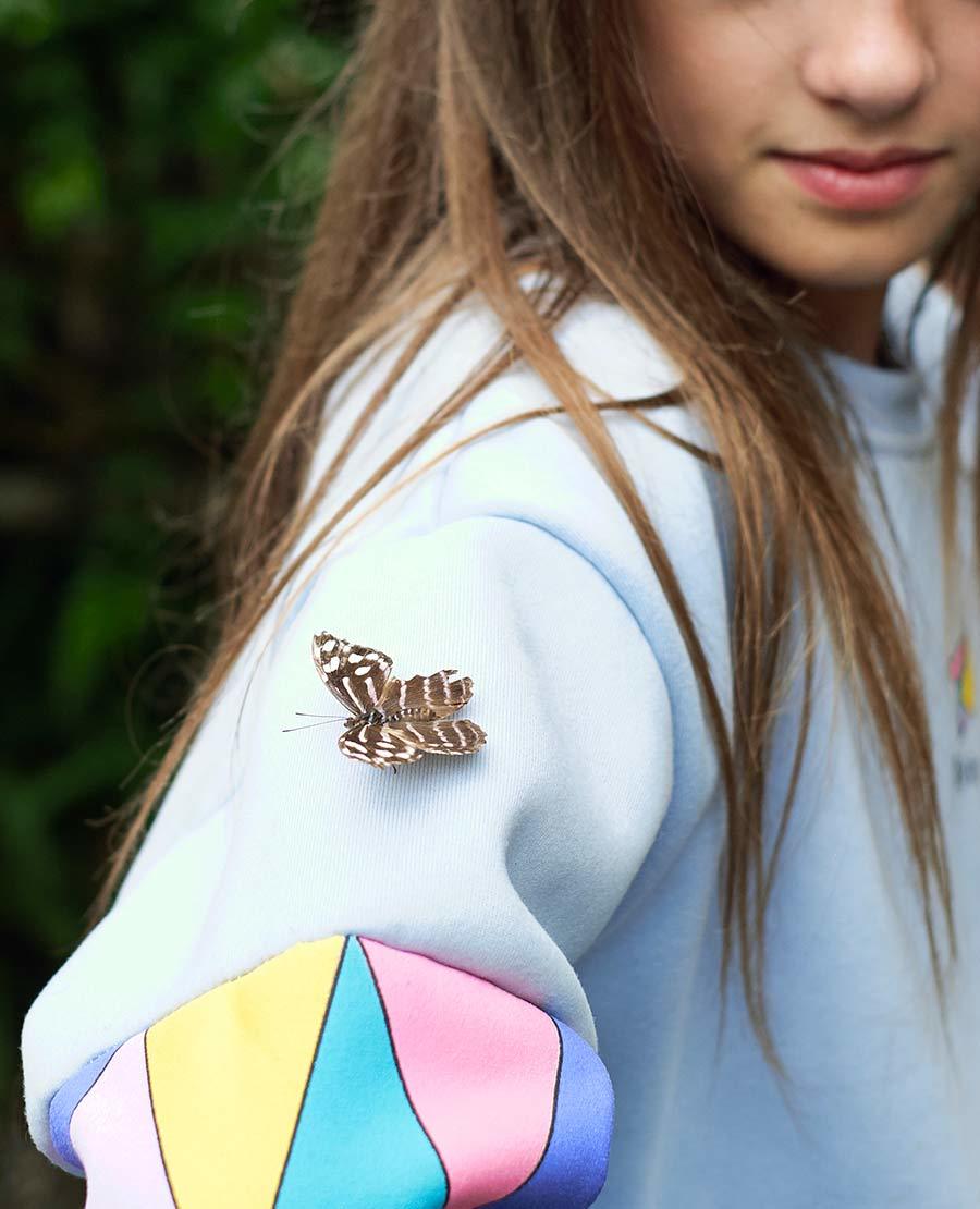 Seaforde Gardens Northern Ireland Butterfly House