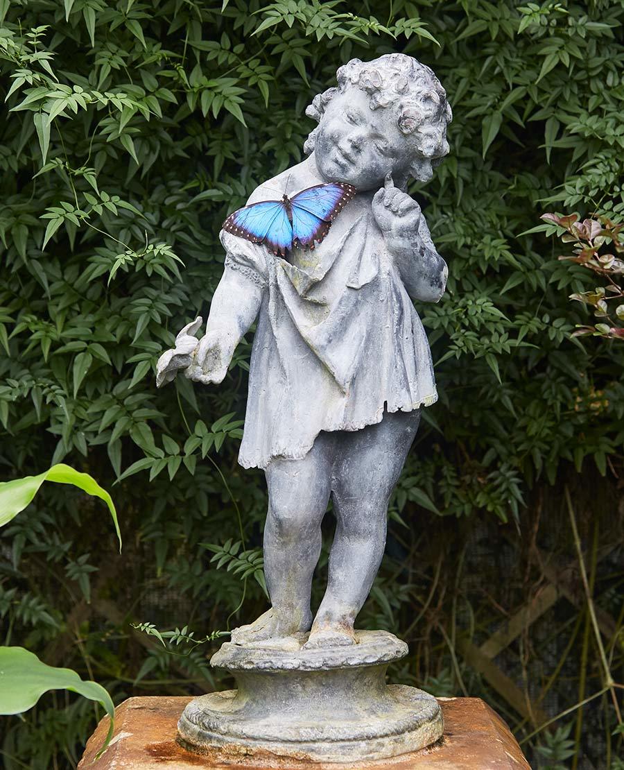 Seaforde Gardens Northern Ireland Butterfly House