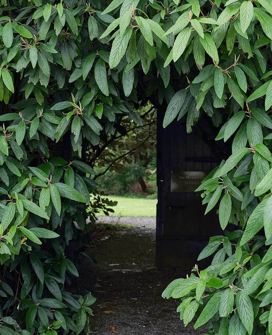 Seaforde Maze, Gardens and Butterfly House Northern Ireland