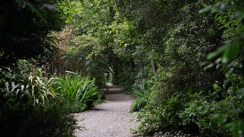 Seaforde Gardens Northern Ireland Arboretum