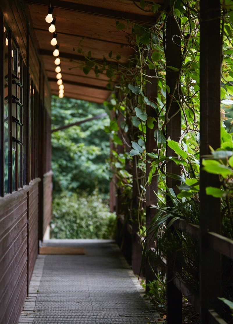 Walkway outside the Garden House Café